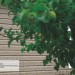 Сайдинг Ю-Пласт TIMBERBLOCK Пихта (Тимберблок) Cахалинская купить в Верхней Салде